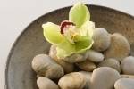 Curative stay - MINI
