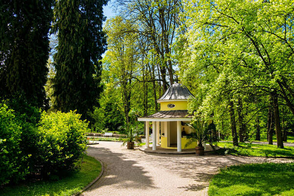 In Konstantinovy Lázně, the heart beats healthily