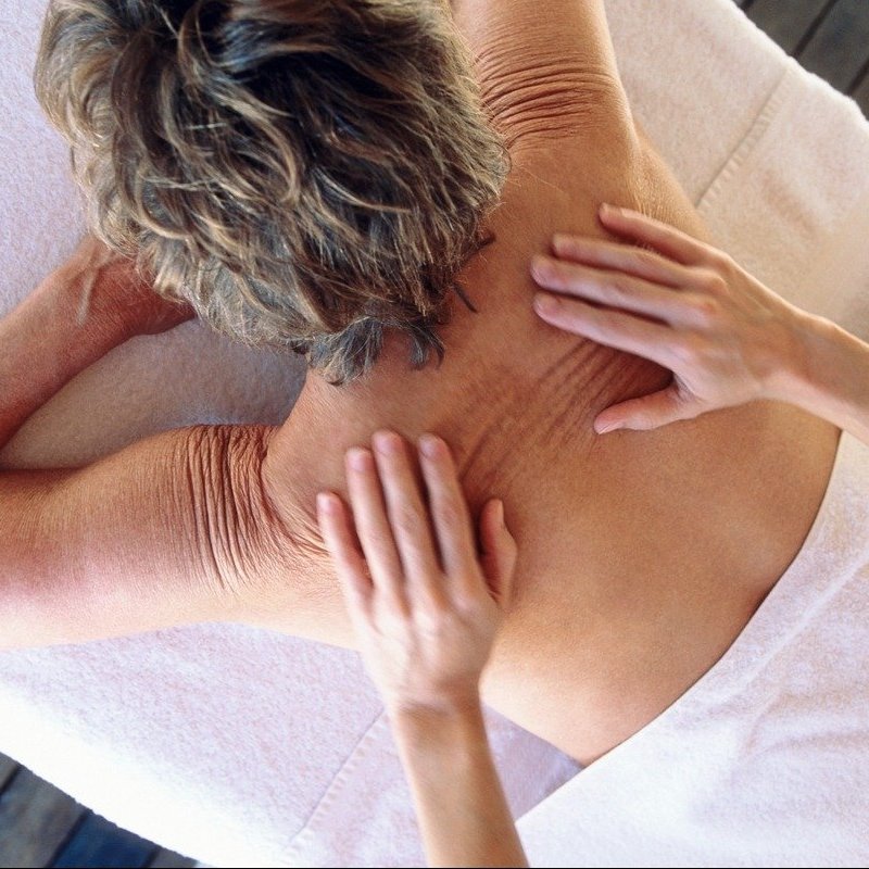 Beauty programme 2025/2026