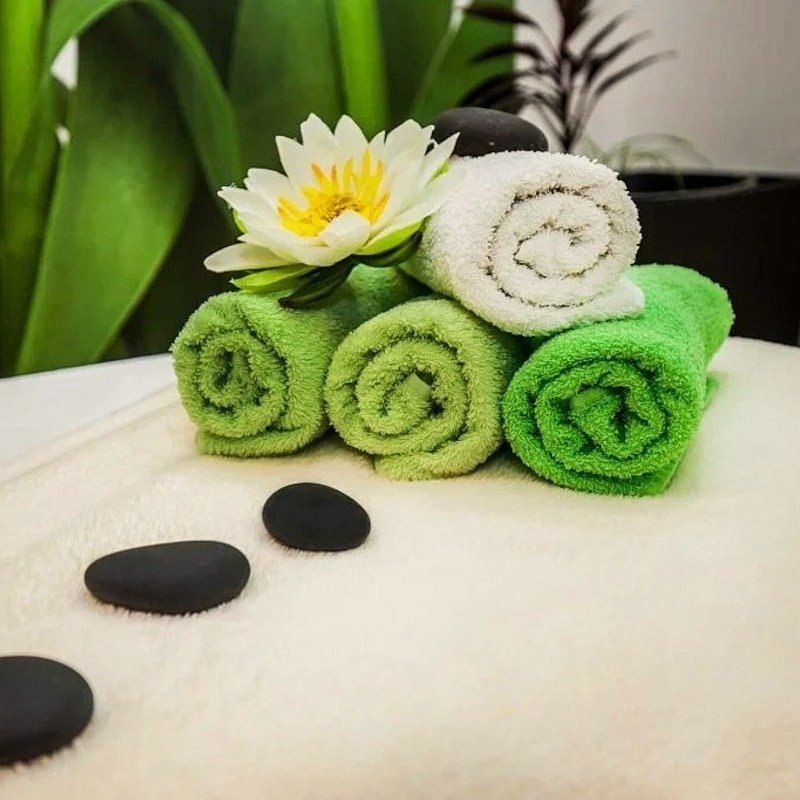 Harmony stay 2025/2026