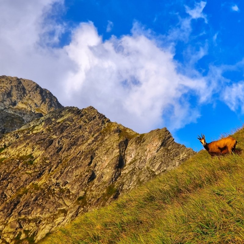 <p>Spring weekend in the Tatras</p>