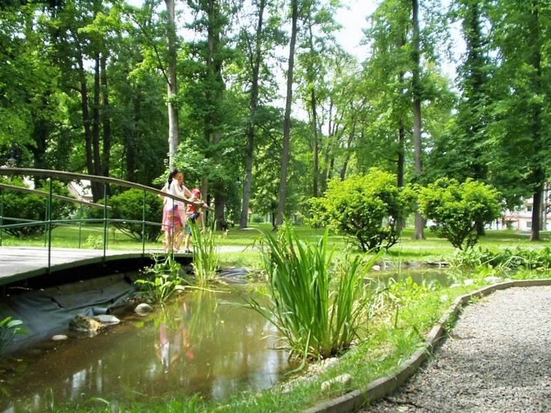 Pension Alžbeta spa house 