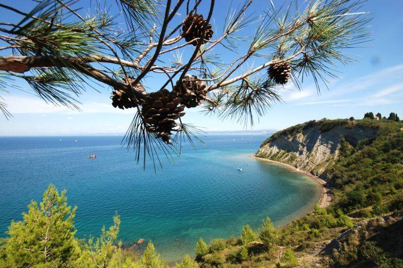 Relax by the sea