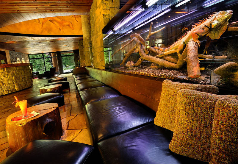 Accommodation with breakfast