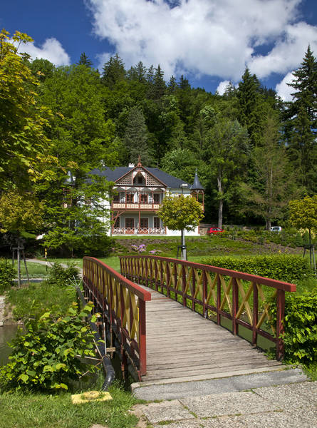 Hotel Villa Alpine Rose **** 