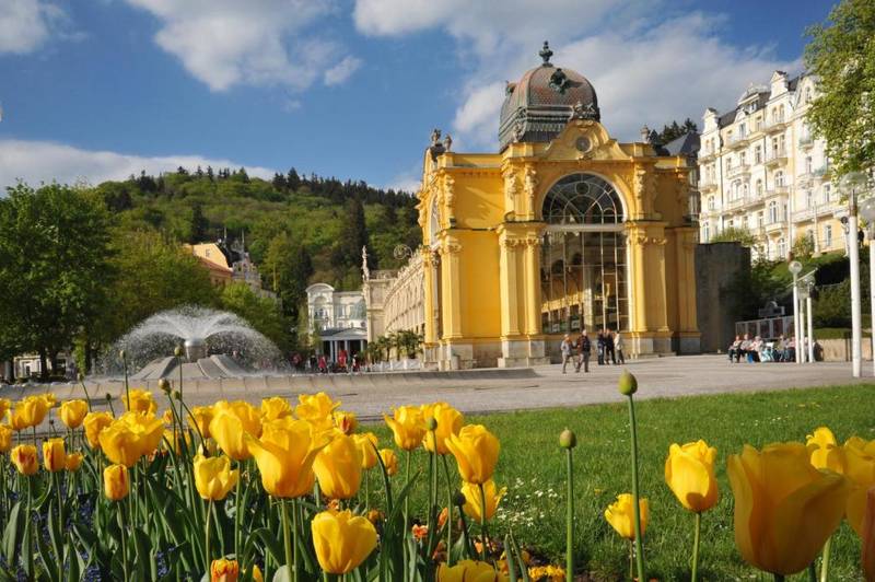 Orea Spa Hotel Cristal ****