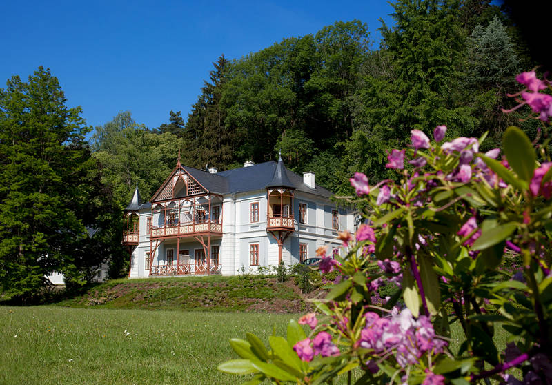 Hotel Villa Alpine Rose **** 