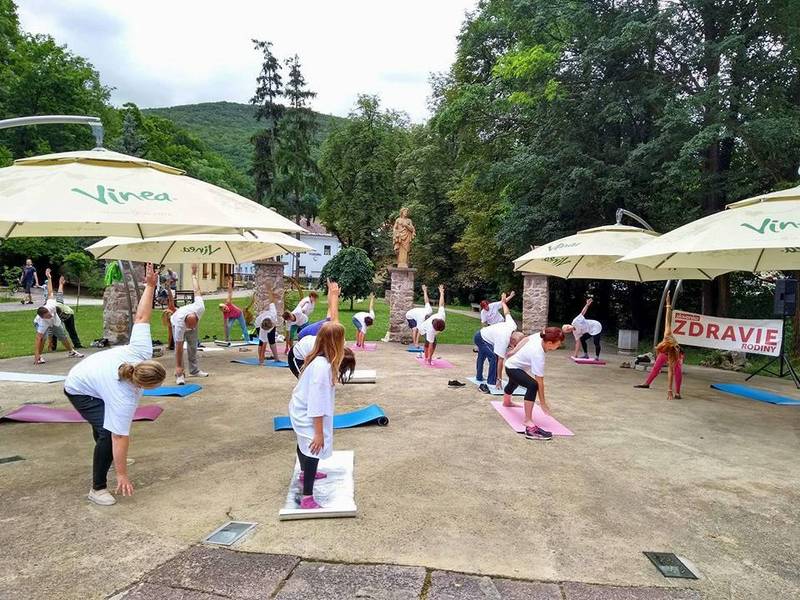 Pension Alžbeta spa house 