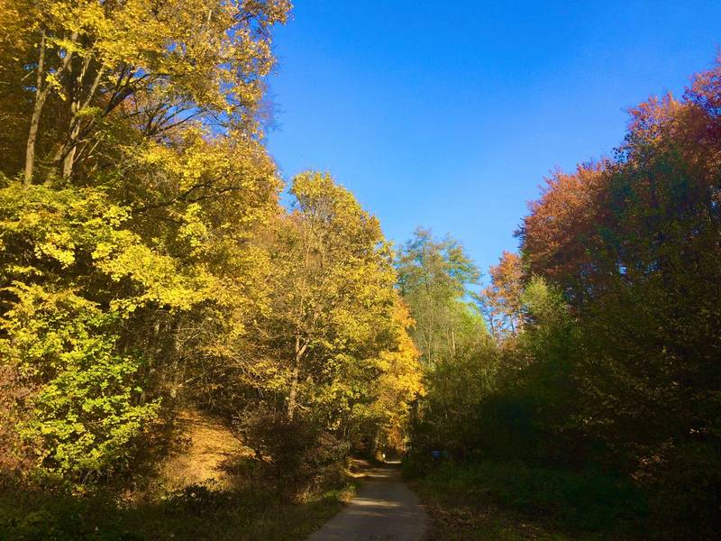 Pension Alžbeta spa house 