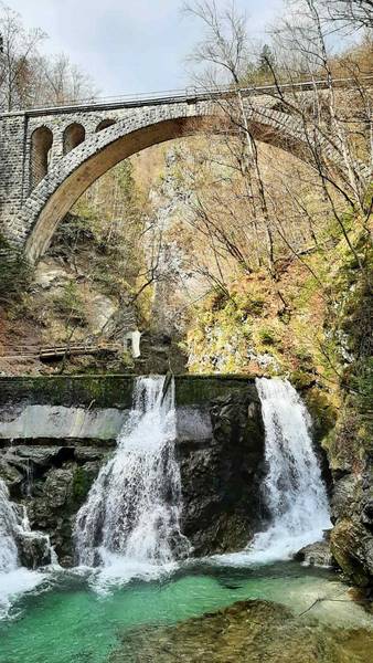 Hotel Savica ****