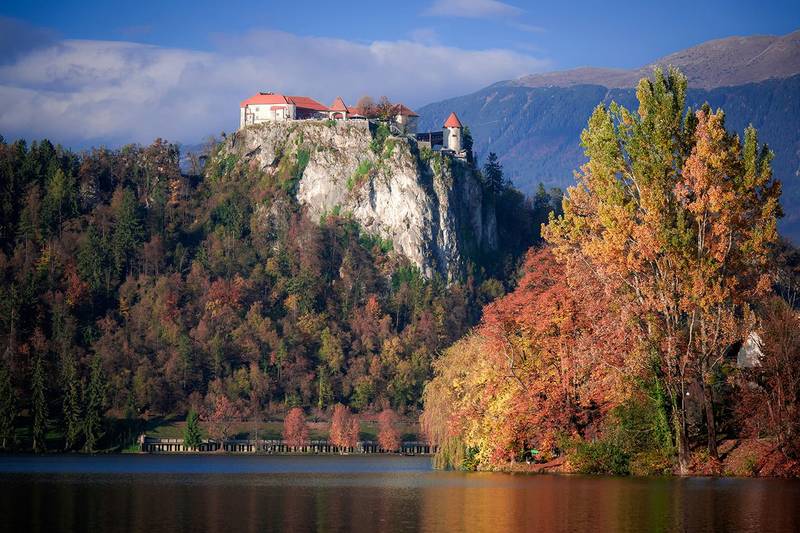 Hotel Savica ****