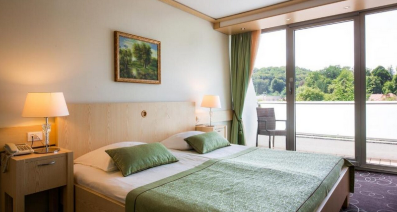 Standard with forest view