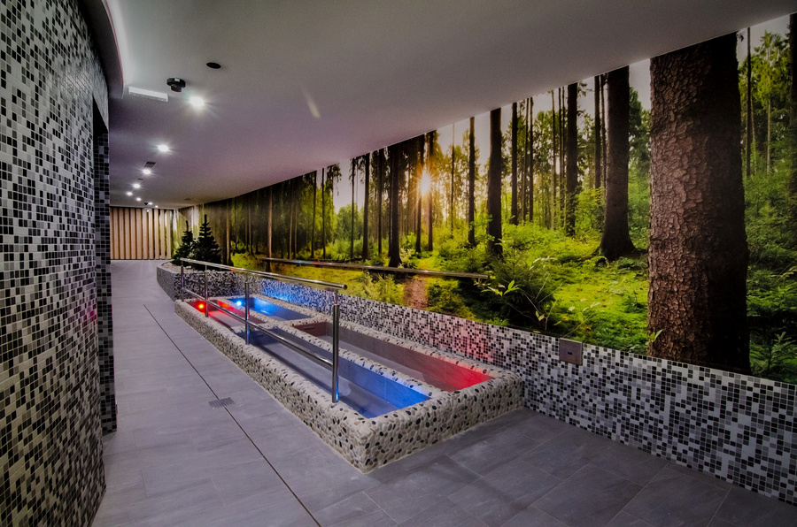 Wellness