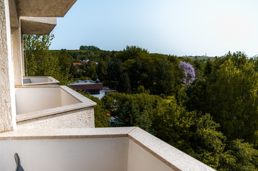 Vietoris Ensana Health Spa Hotel ***