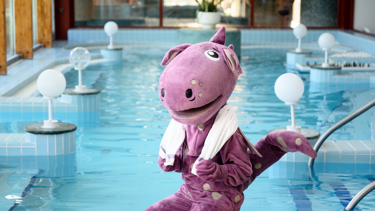 All Inclusive Relaxation Programme 2024/2025