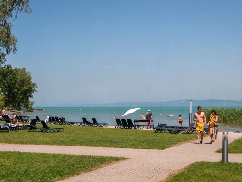 Wellness harbor
