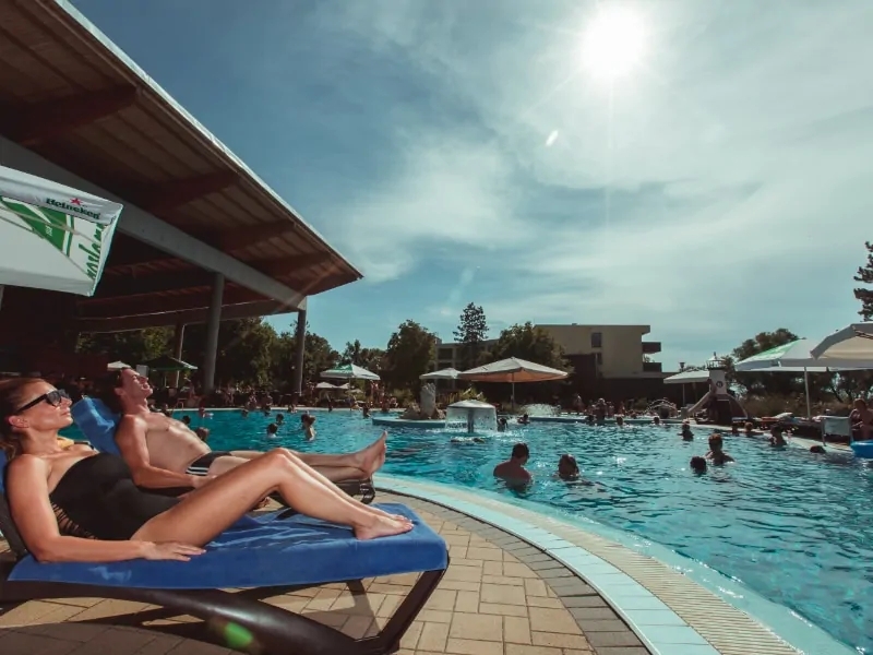 Wellness harbor