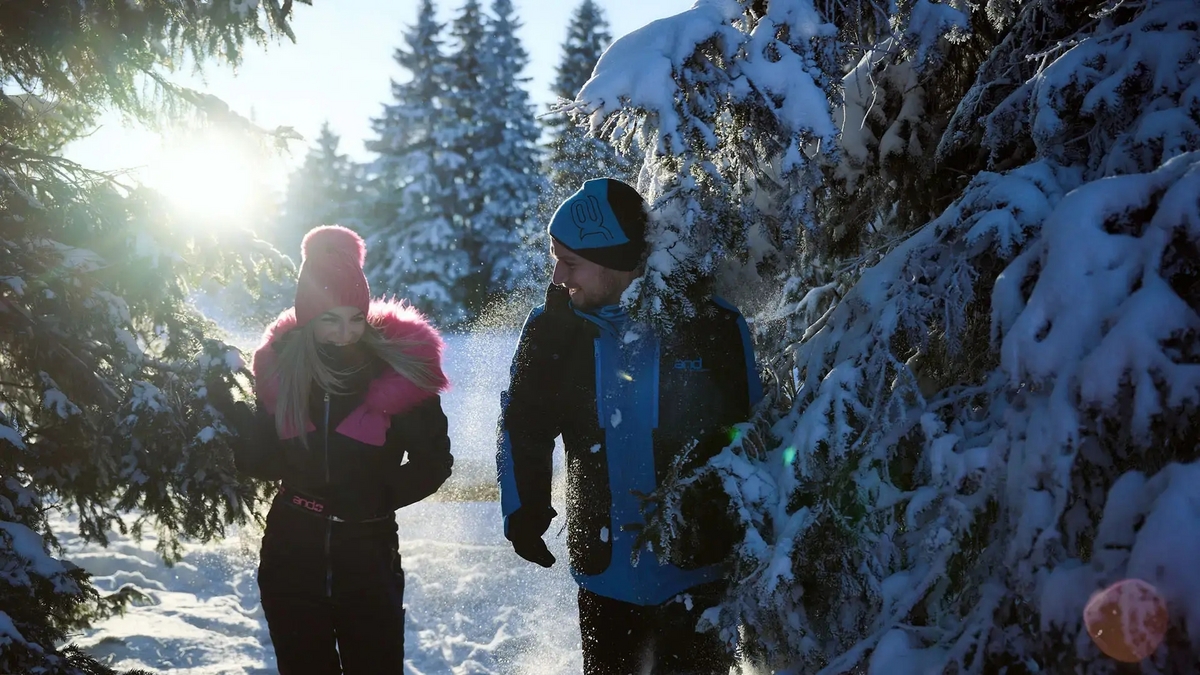 Hotel Rogla ***