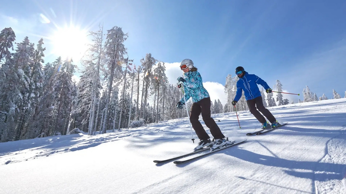 Hotel Rogla ***