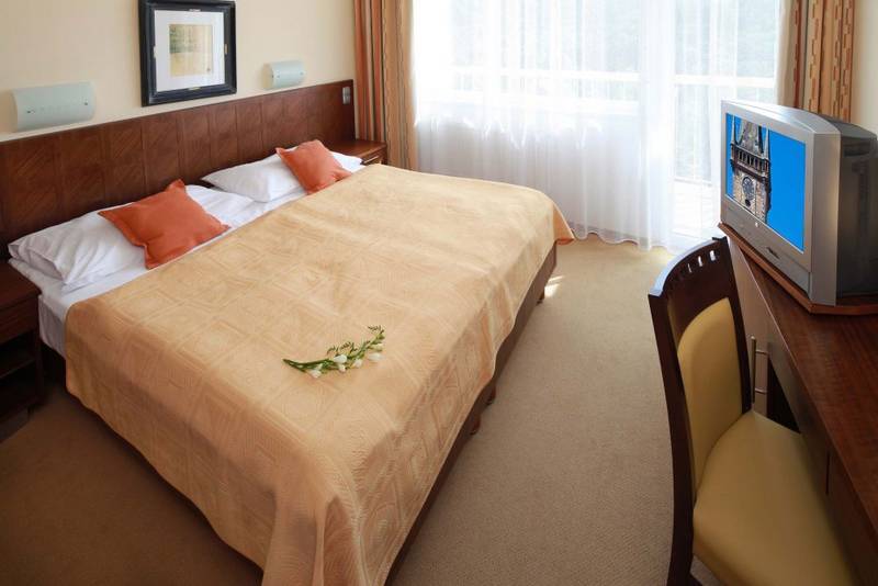 Classic Program 2026/2027