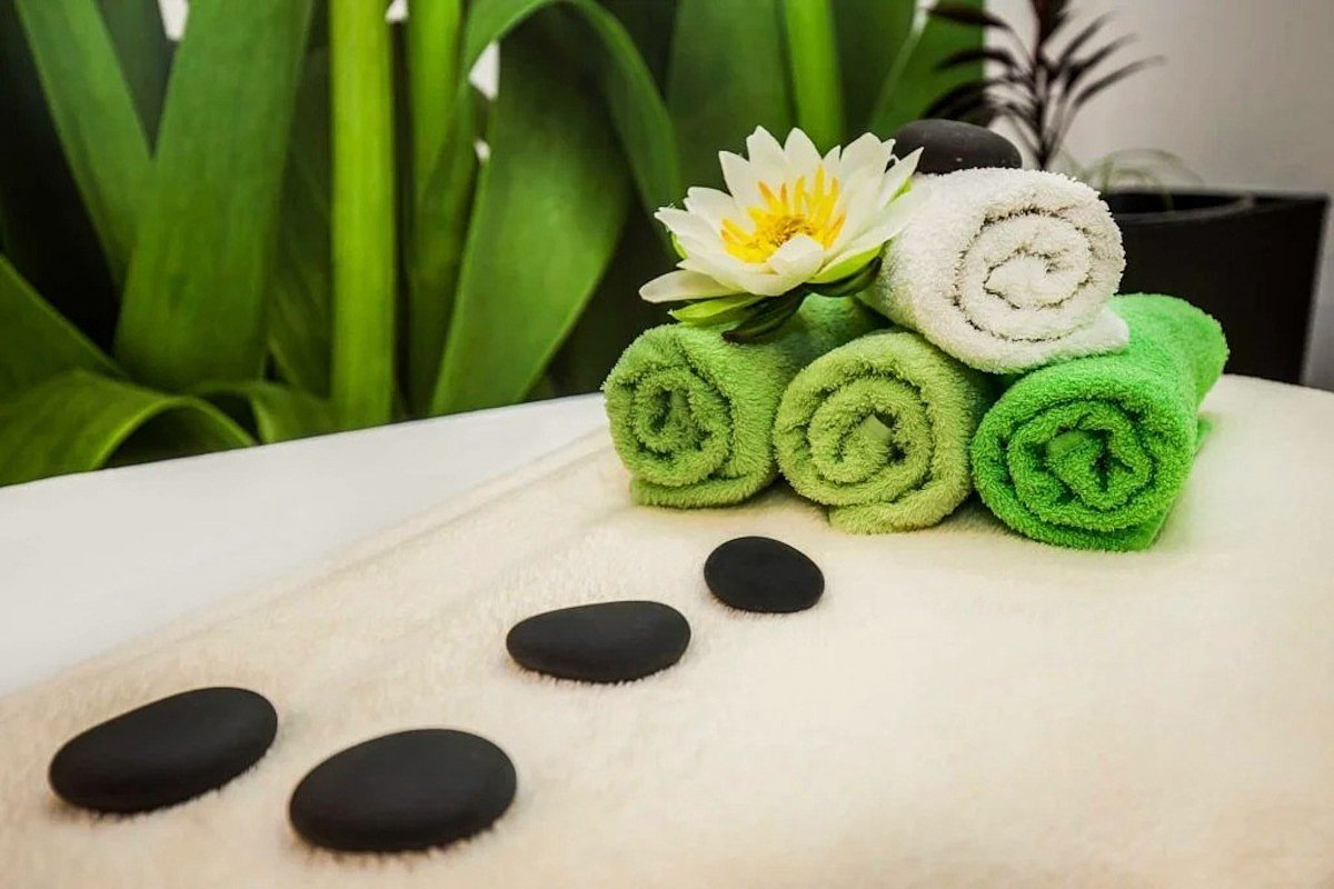 Harmony stay 2025/2026