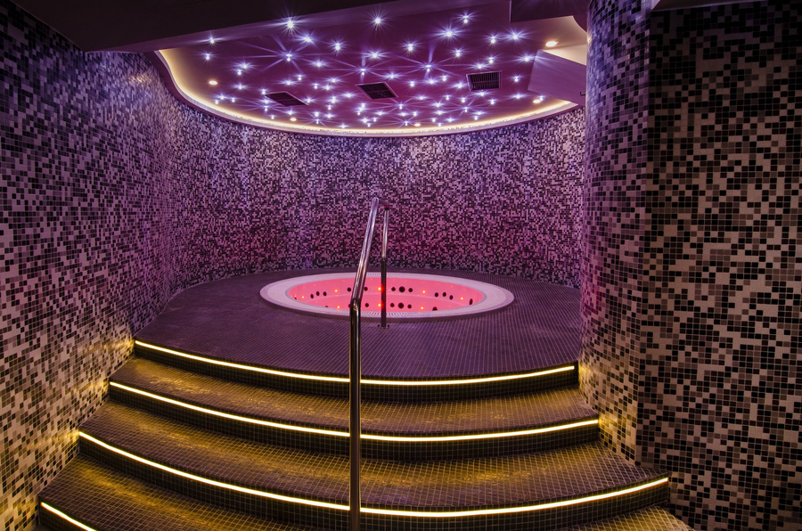 Wellness Medical 2026