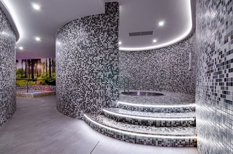 Wellness Medical 2026