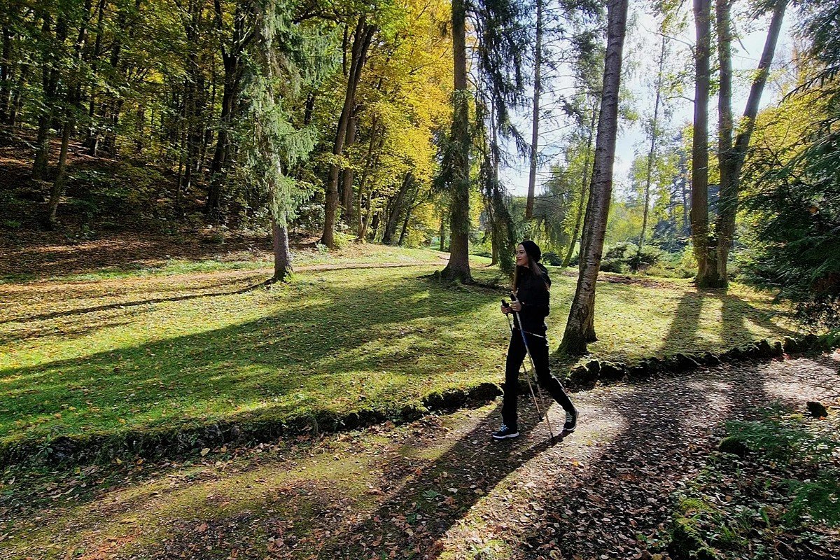 Accommodation with breakfast