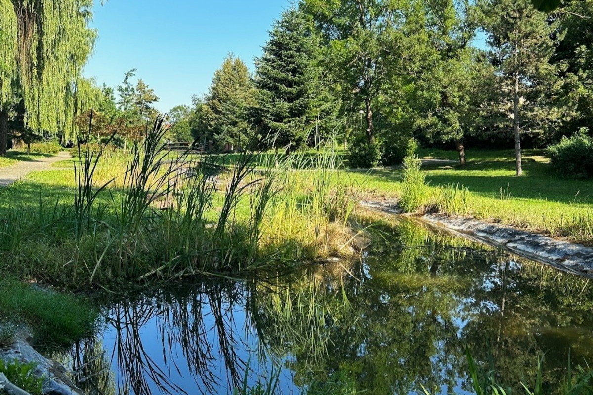 Rimava medical home ***