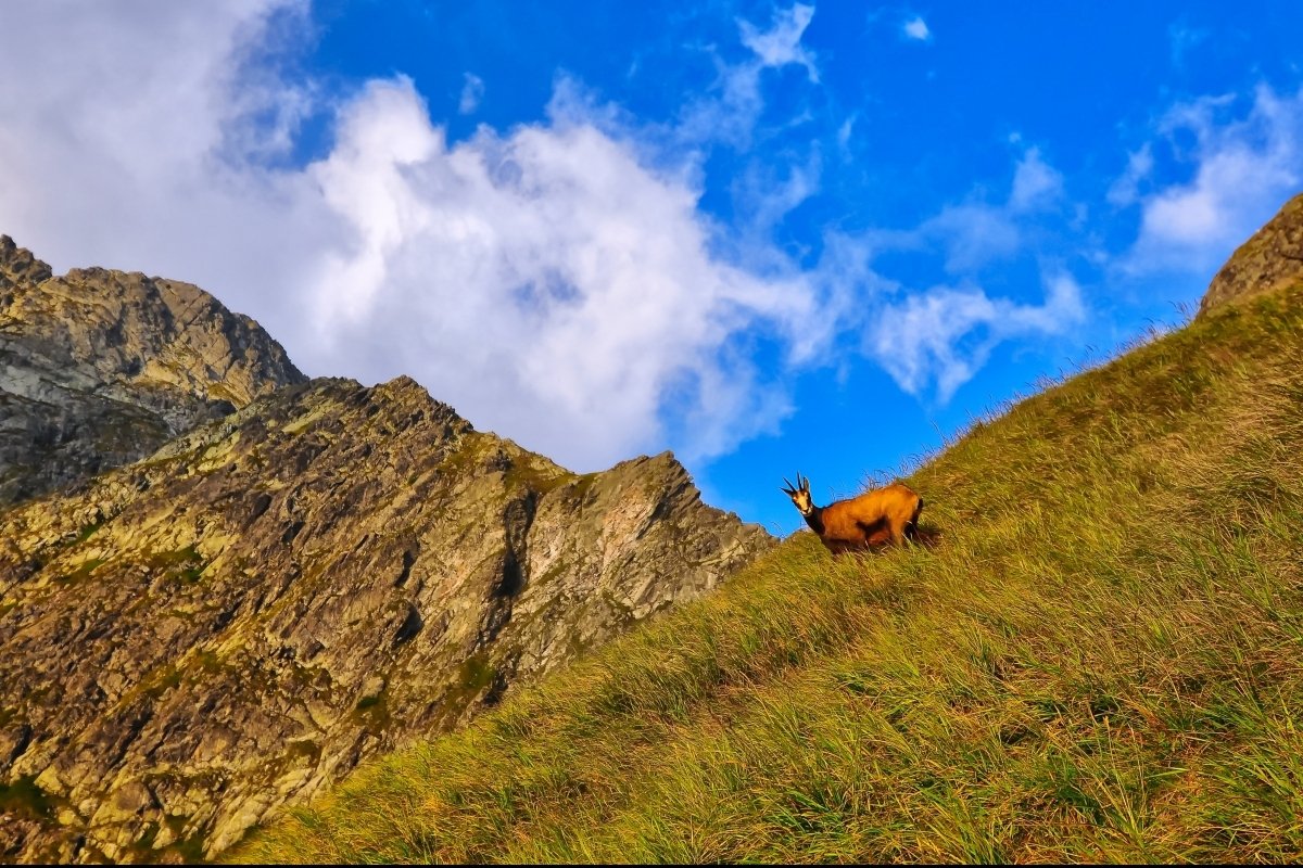 <p>Spring weekend in the Tatras</p>