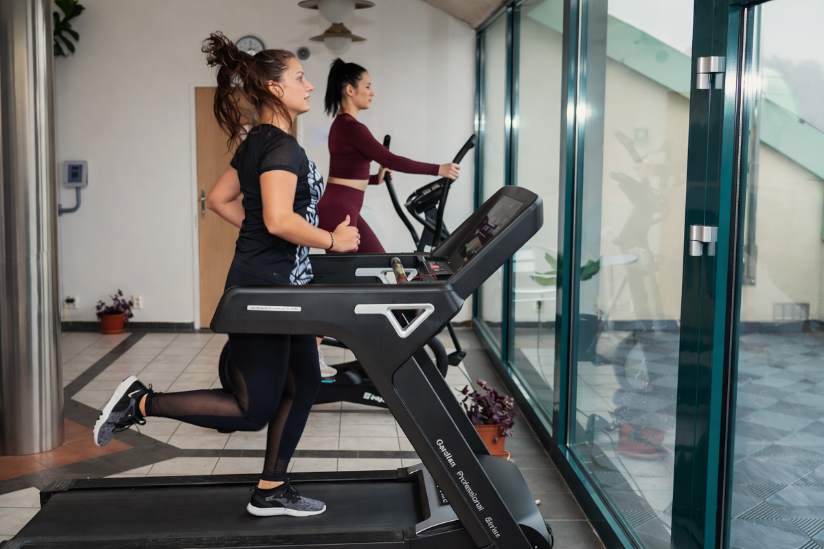 Wellness & Relaxation 2026