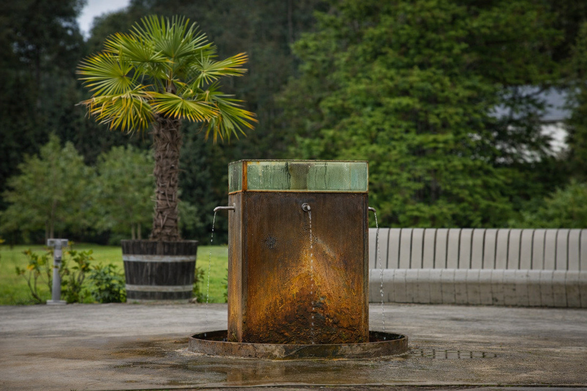 Luhačovicka Vincentka is gold for cellular immunity