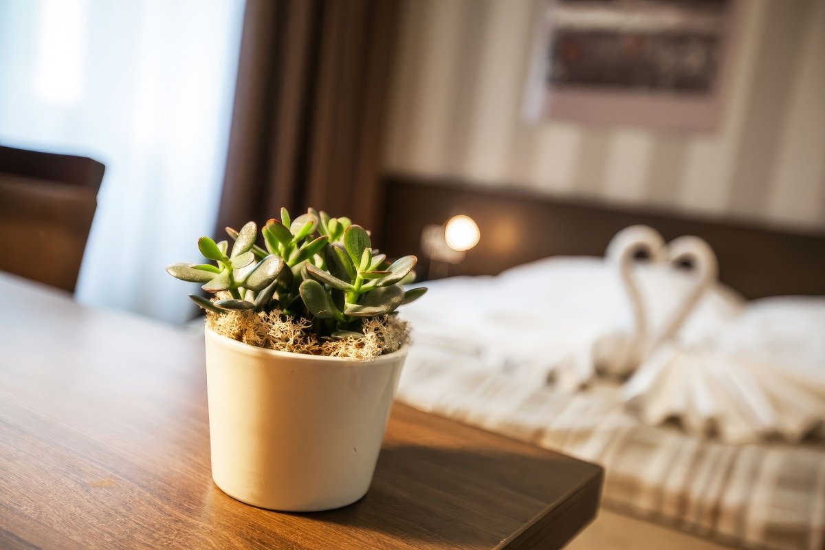 Pension Matej Bel spa house 