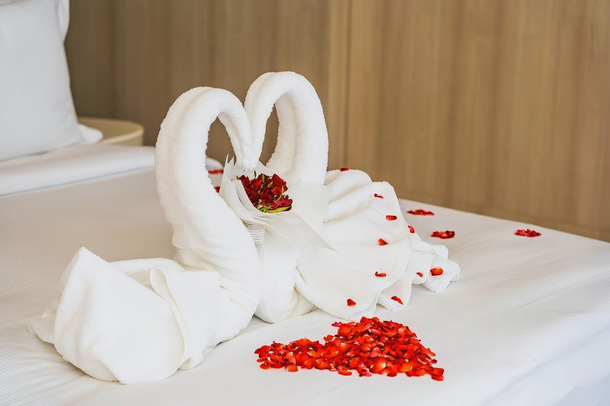 Luxurious romance 2025/2026