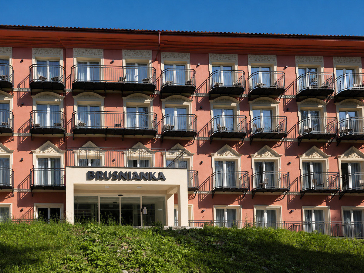 Dependance Brusnianka ***