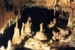 Cave of dead bats