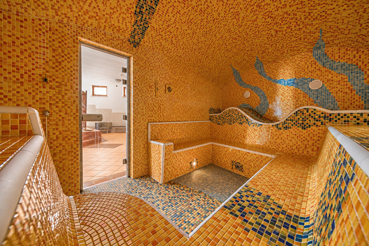 Hotel Wellness Patince ****