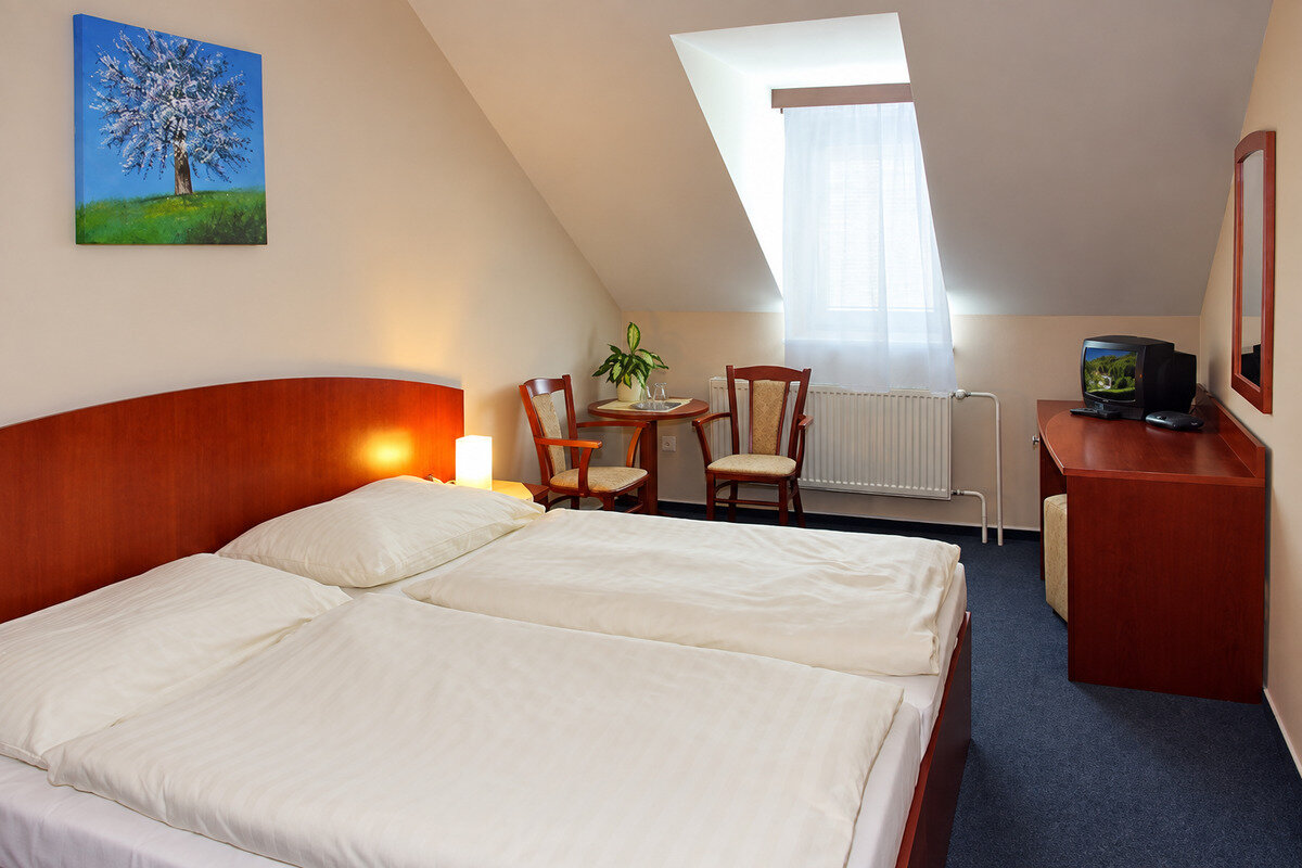 Hotel Remata ***