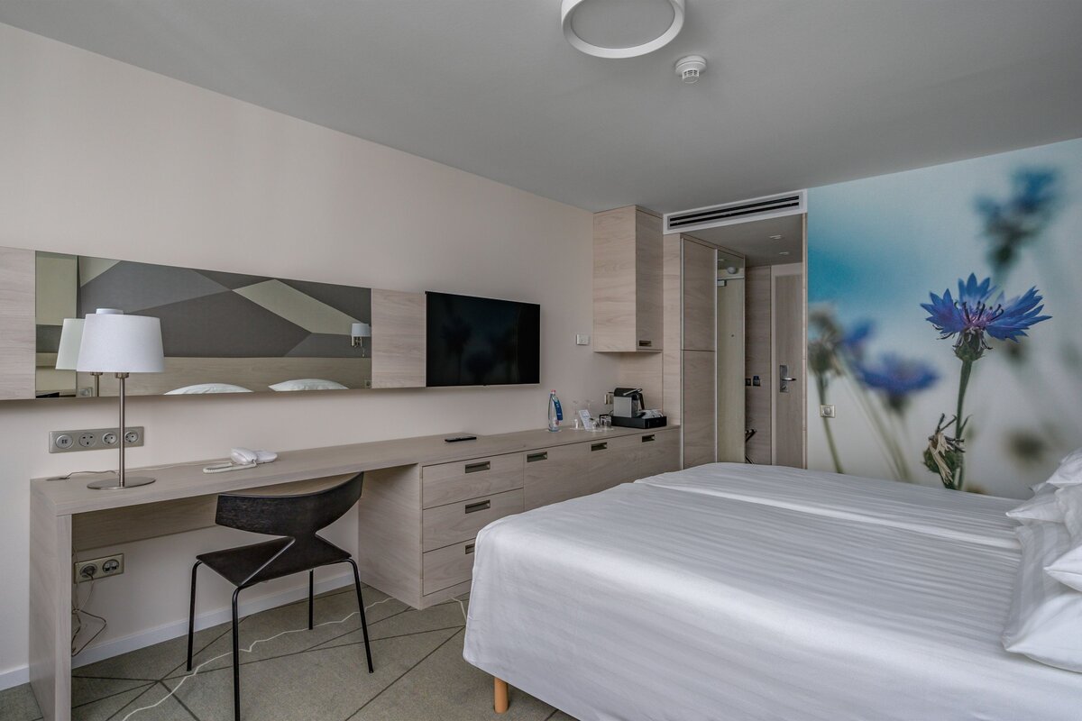 Premium Plus Room
