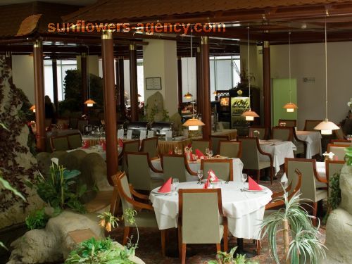 Hotel Toplice ****
