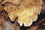 Cave Driny