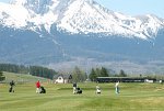 Golf course Black Stork
