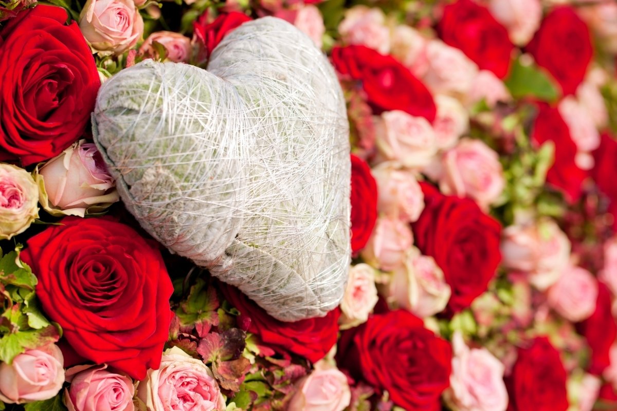 St. Valentine´s Day